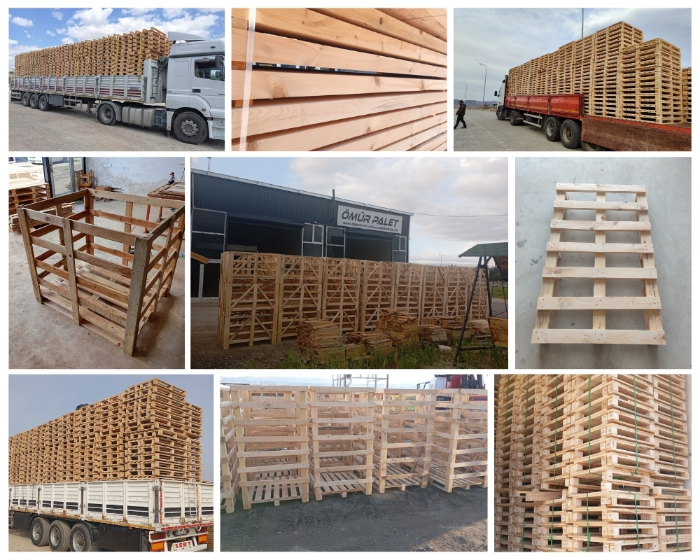 Assendelft Houten Kisten, Europallets Groothandel Kopen